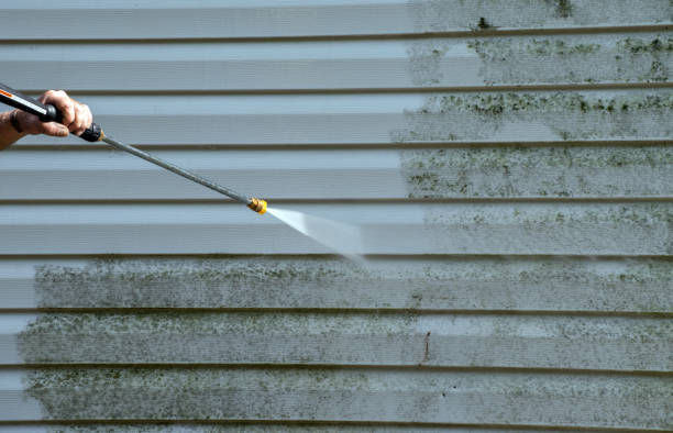 Boat and Dock Cleaning in Yelm, WA